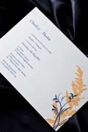 Sahara Invitation